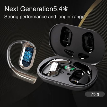 3-in-1 AI Translator Earbuds