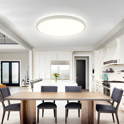 Smart Dimmable Ceiling Light