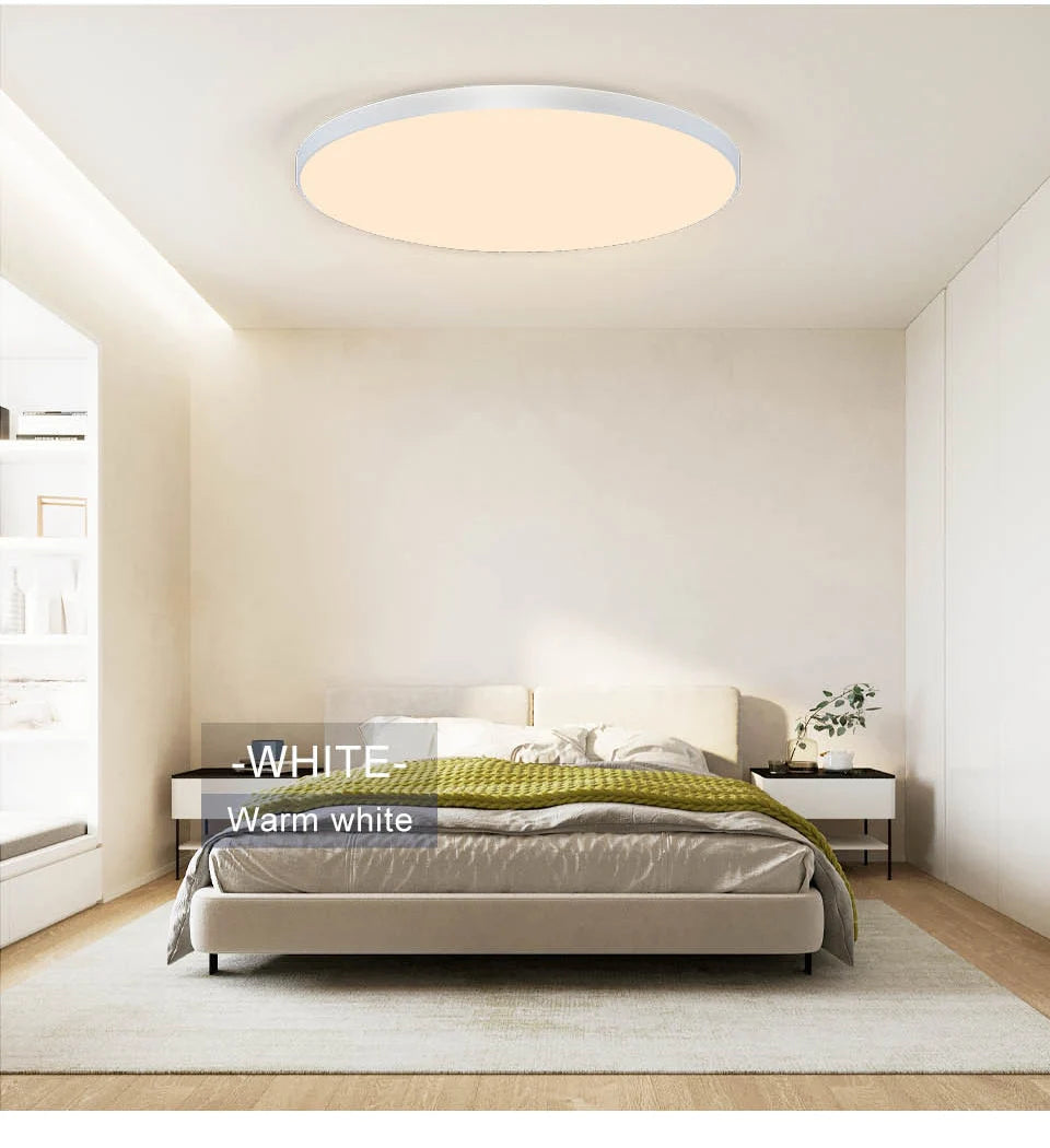 Smart Dimmable Ceiling Light