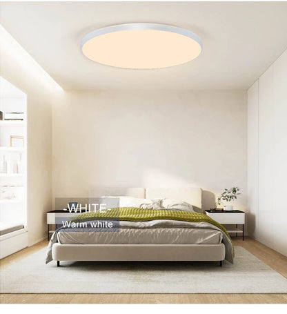 Smart Dimmable Ceiling Light