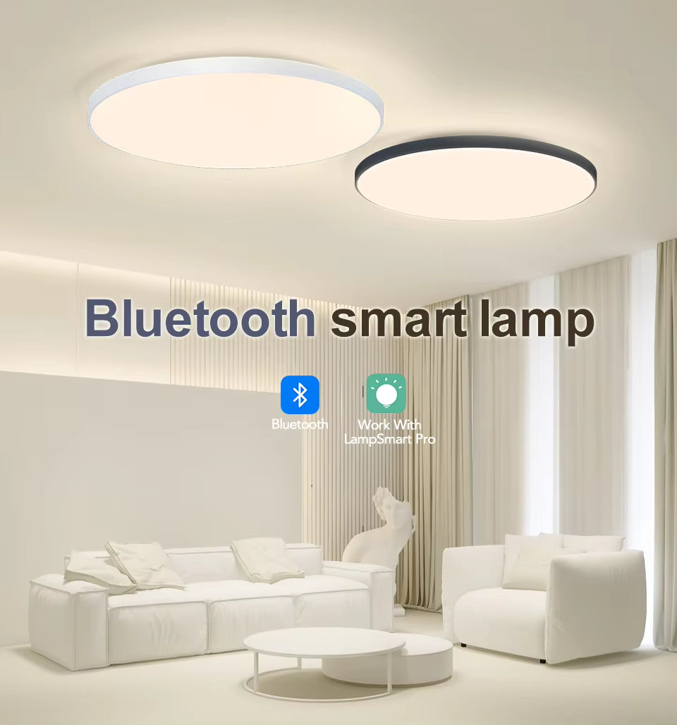 Smart Dimmable Ceiling Light